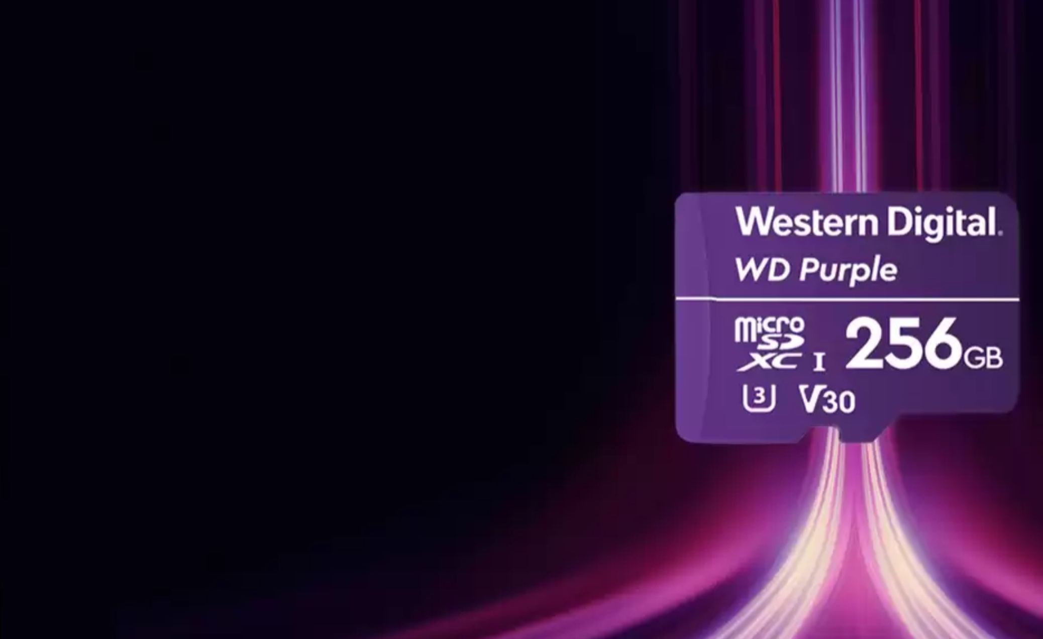 การ์ดหน่วยความจำ (WESTERN DIGITAL) WD Purple 128GB microSDXC ประกัน 3 ปี ความจุ: 128GBประเภท: microSDXC, Class 10, UHS-I, U1การใช้งาน: รองรับการบันทึกภาพวิดีโอแบบต่อเนื่องตลอด 24 ชั่วโมง ความทนทาน: ทนต่ออุณหภูมิที่ร้อนและหนาวจัด (-25°C ถึง 85°C) และทนต่อความชื้น - Image 5